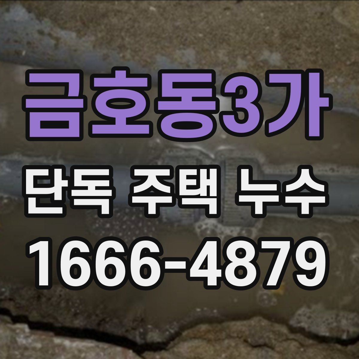 금호동3가 단독 주택 누수 보수 전후 확인해야 할 차이