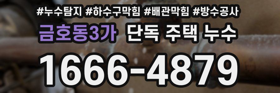 금호동3가 단독 주택 누수