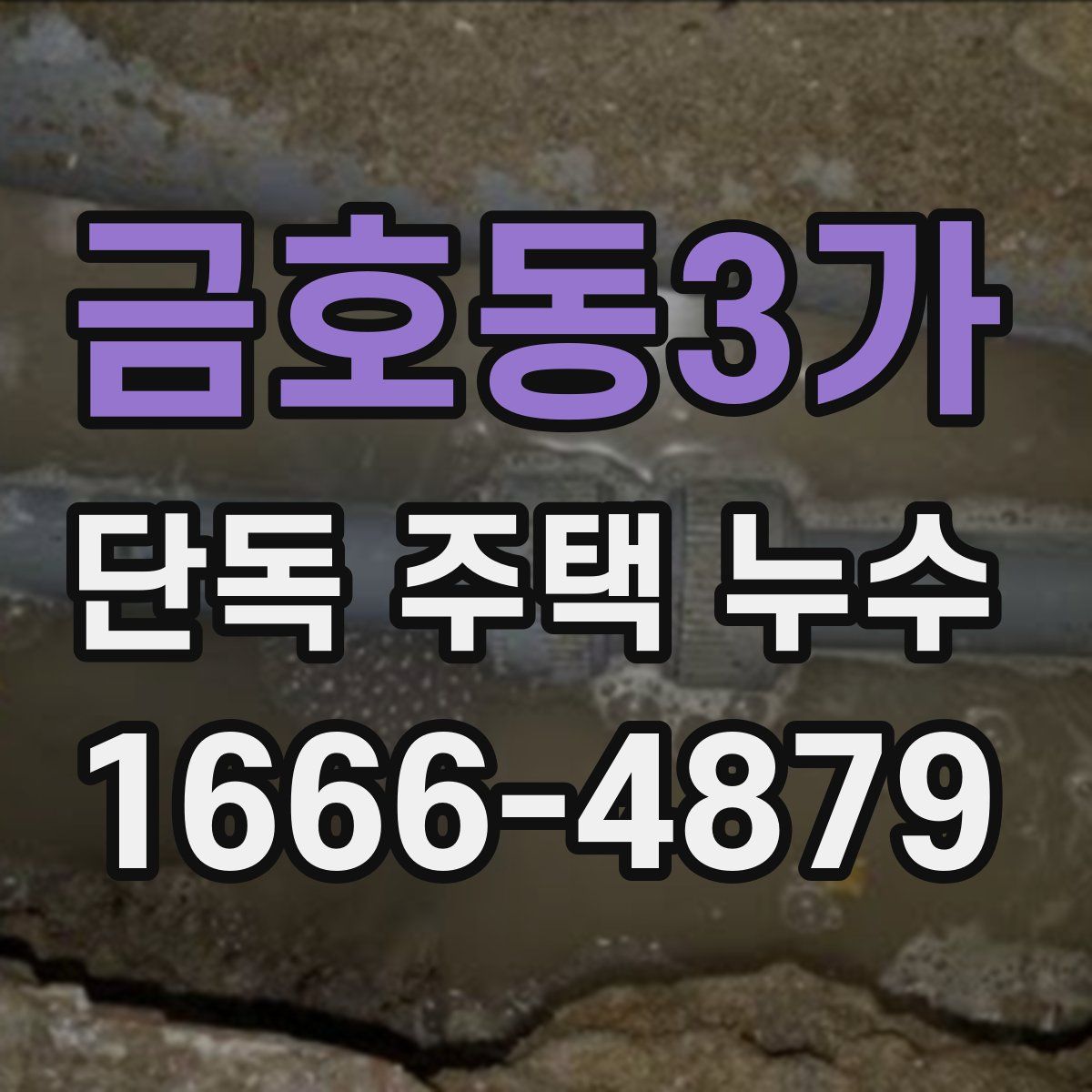 금호동3가 단독 주택 누수
