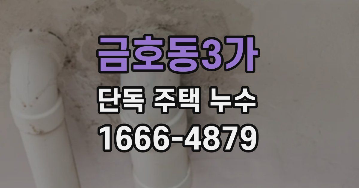 금호동3가 단독 주택 누수