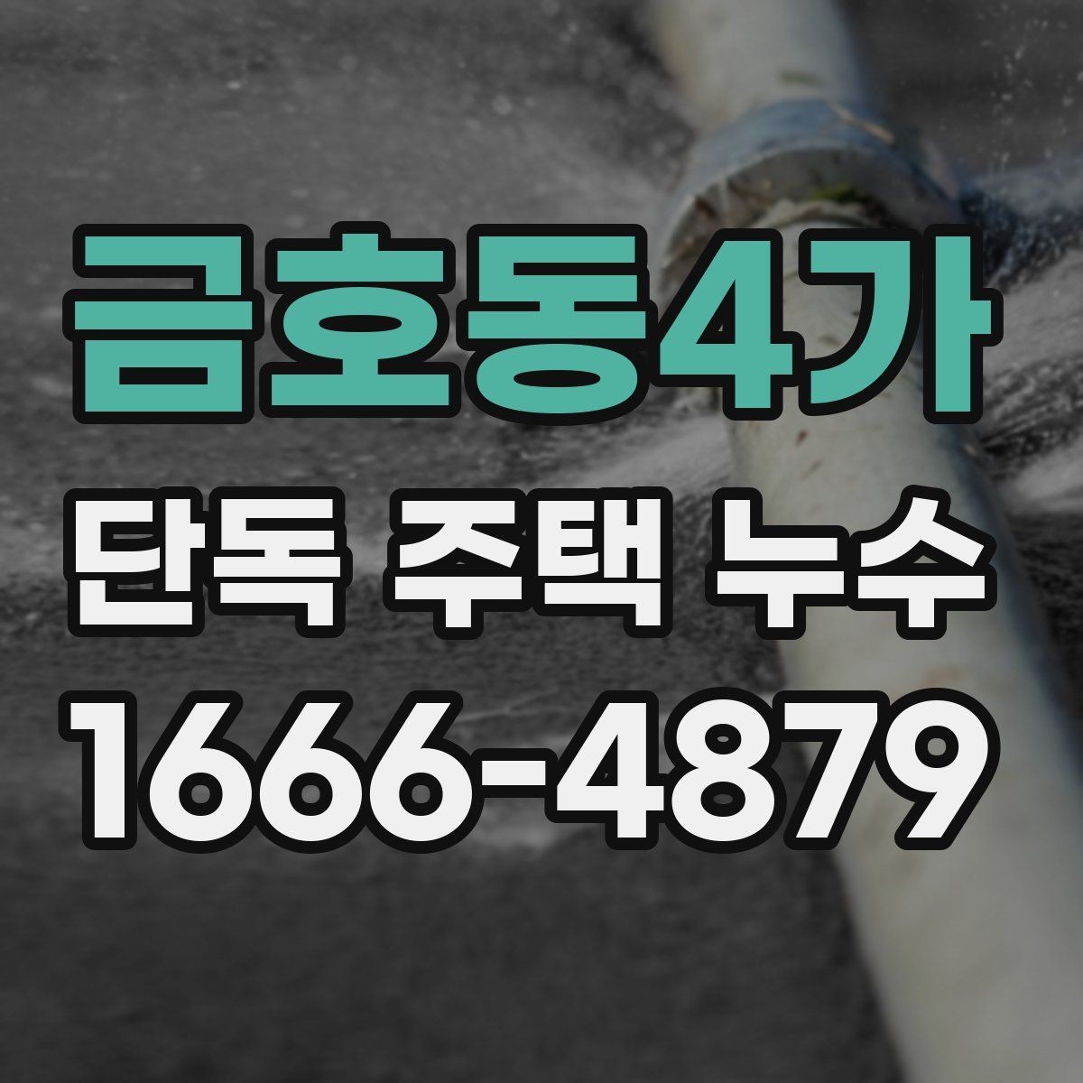 금호동4가 단독 주택 누수 탐지 과정과 진행 순서