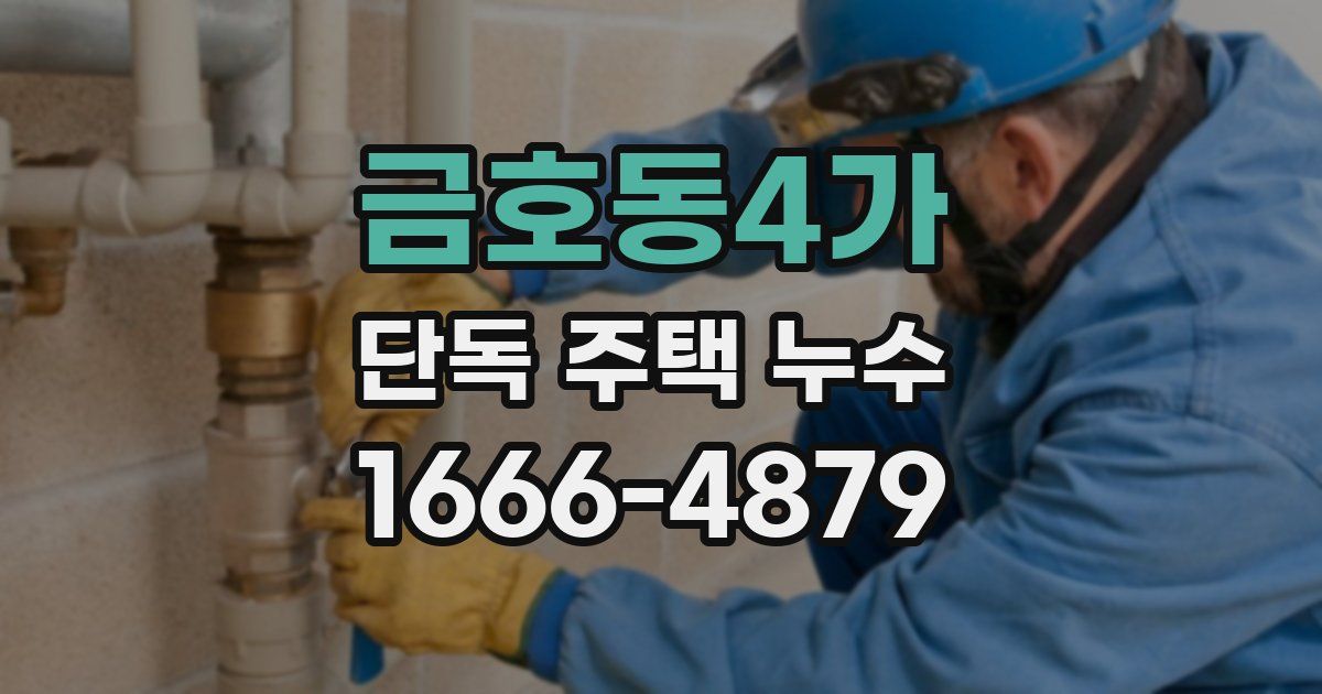 금호동4가 단독 주택 누수
