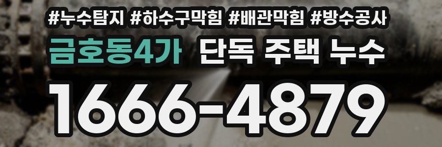 금호동4가 단독 주택 누수