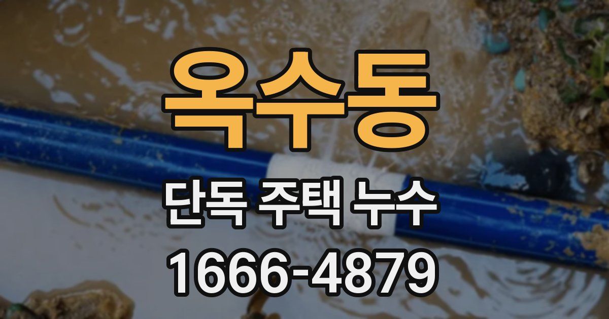 옥수동 단독 주택 누수
