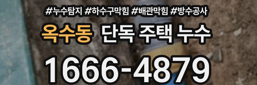 옥수동 단독 주택 누수