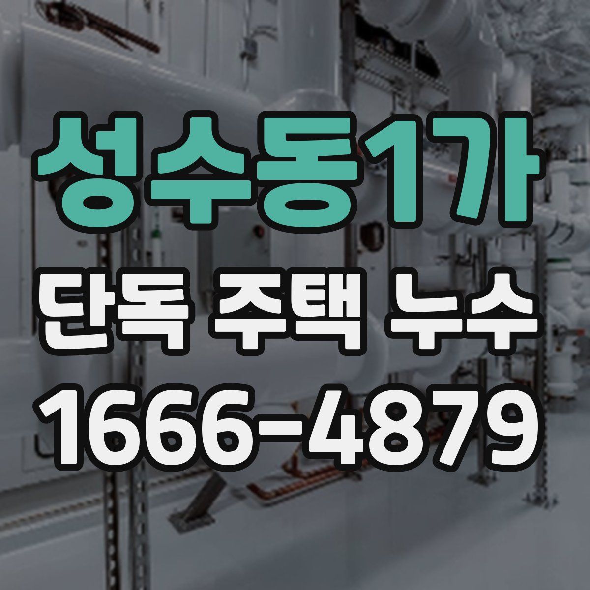 성수동1가 단독 주택 누수