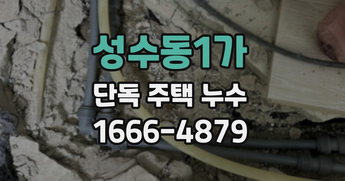 성수동1가 단독 주택 누수