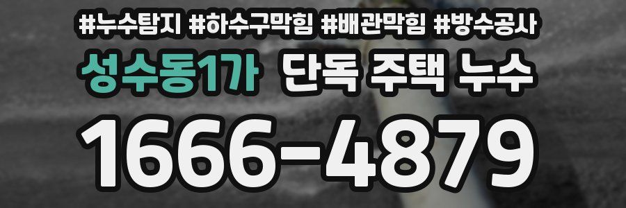 성수동1가 단독 주택 누수