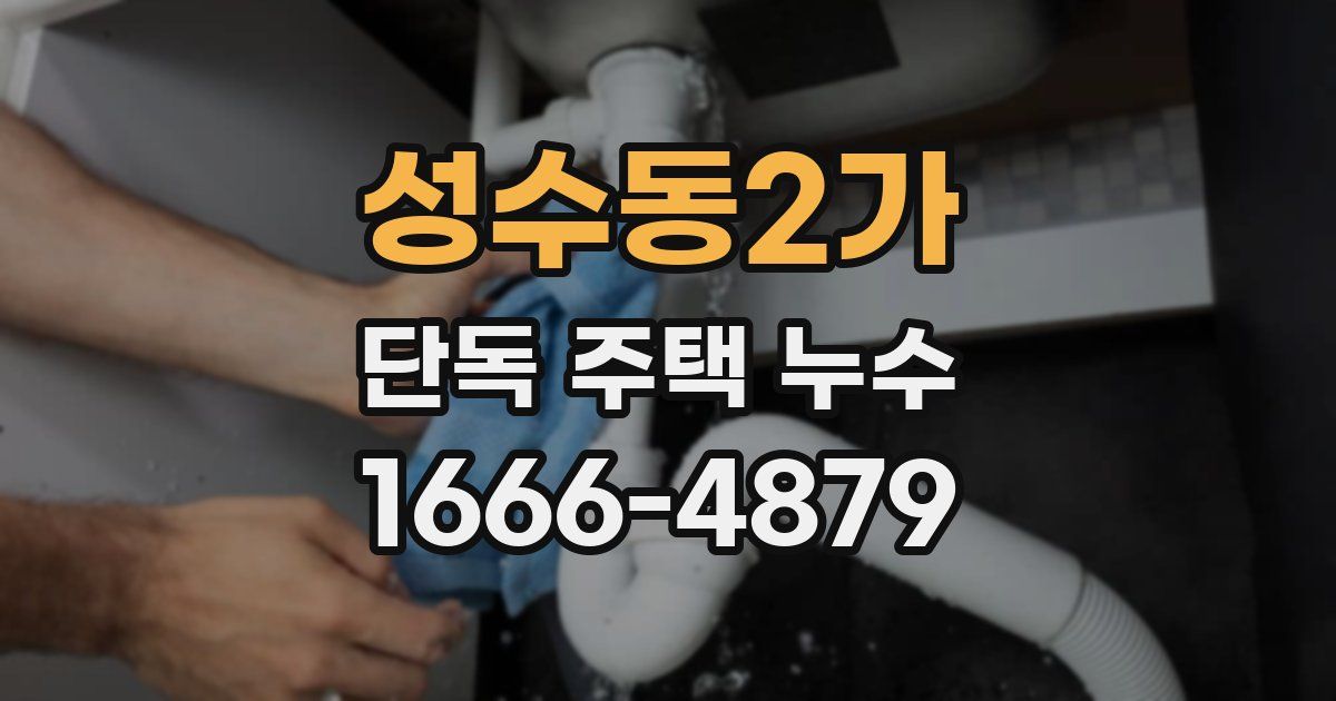 성수동2가 단독 주택 누수