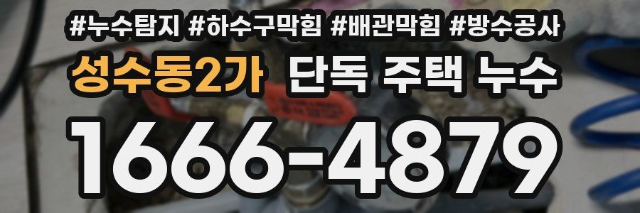 성수동2가 단독 주택 누수
