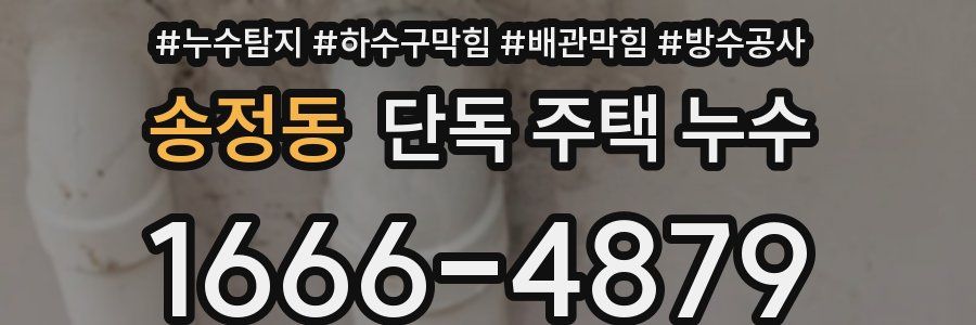 송정동 단독 주택 누수
