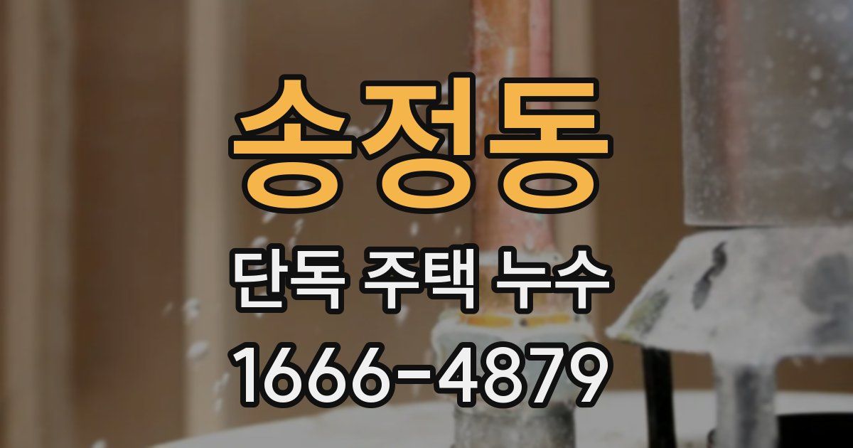 송정동 단독 주택 누수