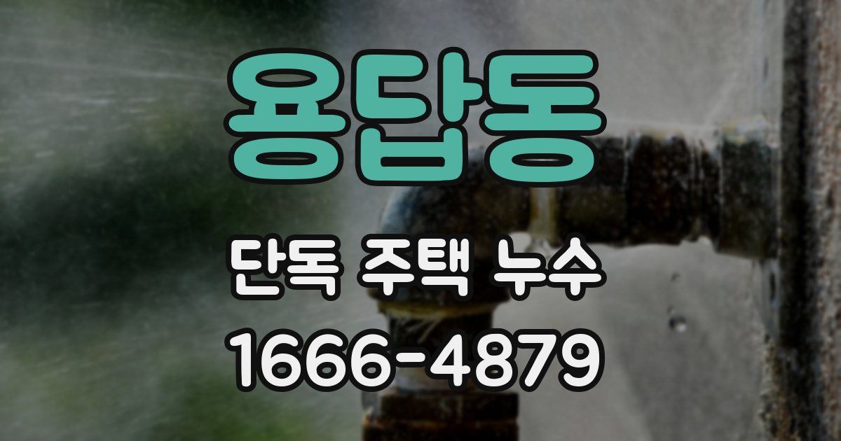 용답동 단독 주택 누수
