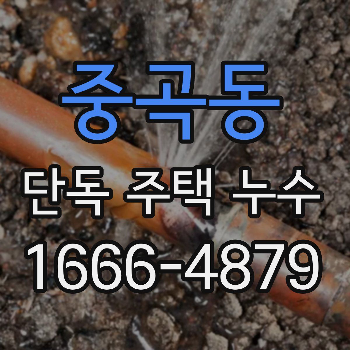 중곡동 단독 주택 누수