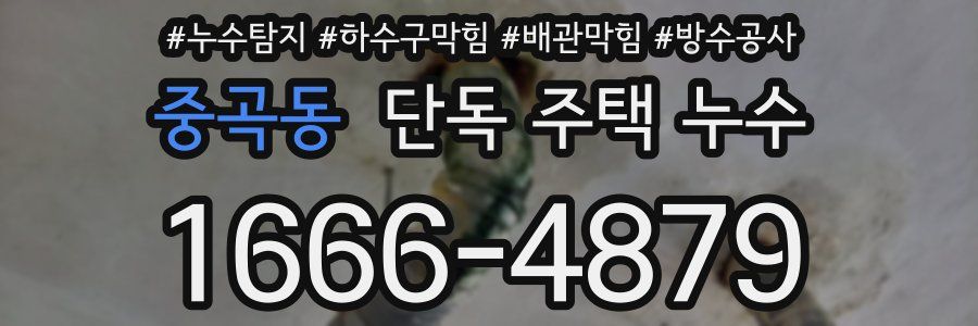 중곡동 단독 주택 누수