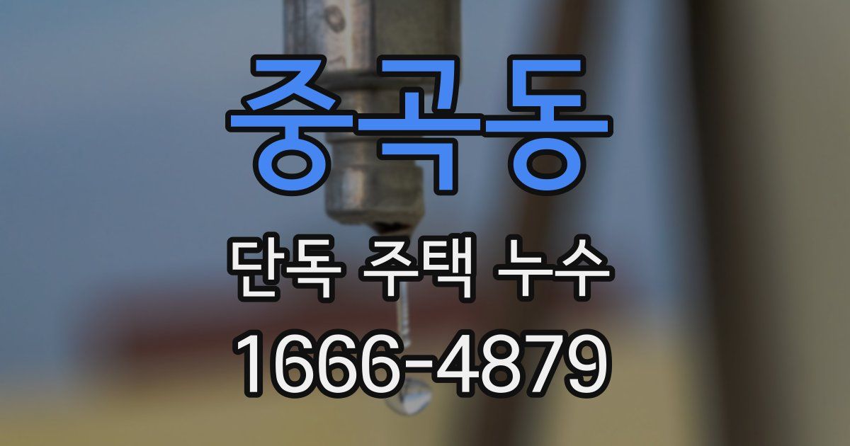중곡동 단독 주택 누수
