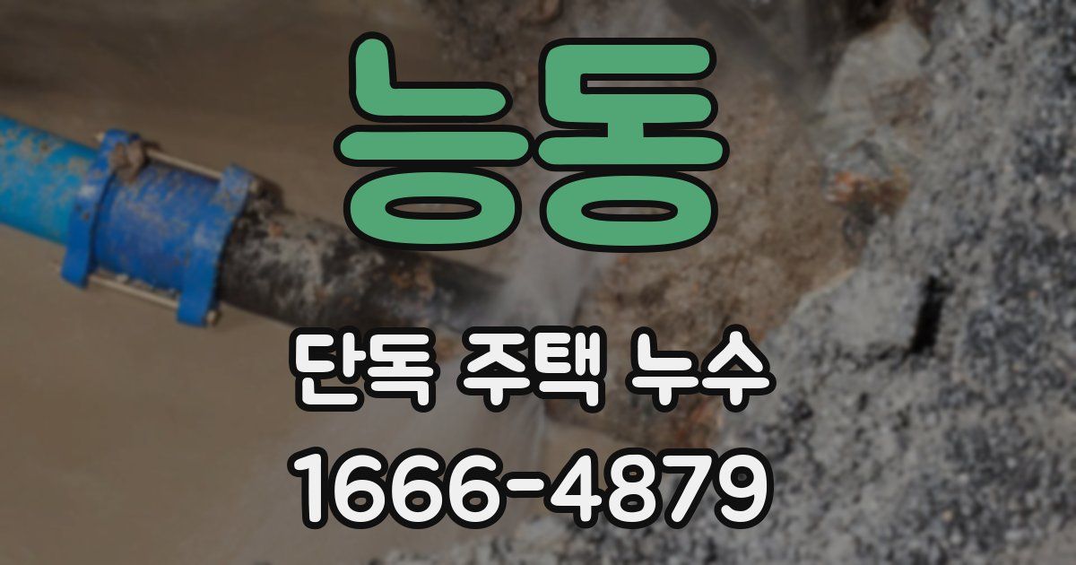 능동 단독 주택 누수