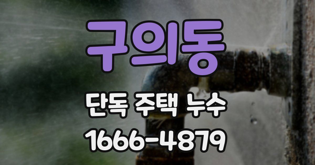 구의동 단독 주택 누수