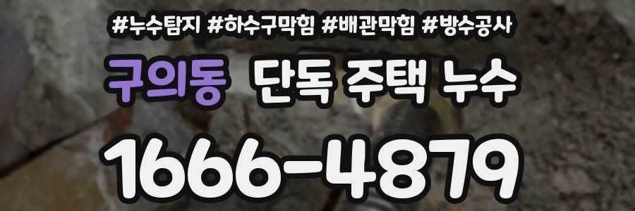 구의동 단독 주택 누수