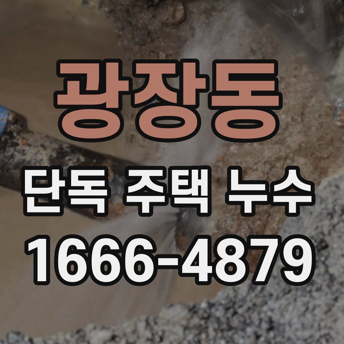 광장동 단독 주택 누수