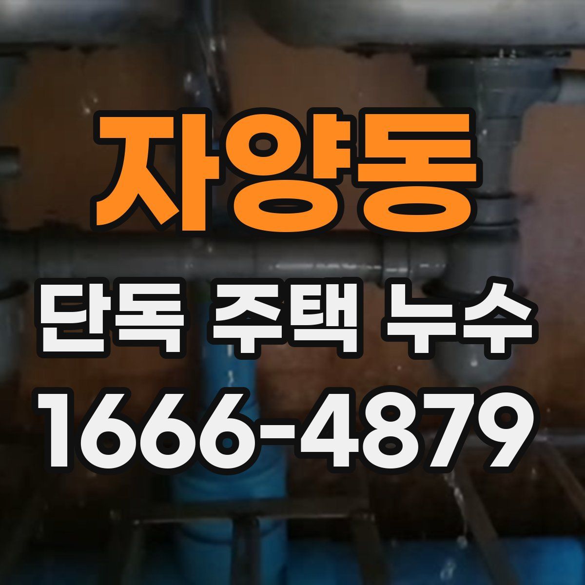 자양동 단독 주택 누수