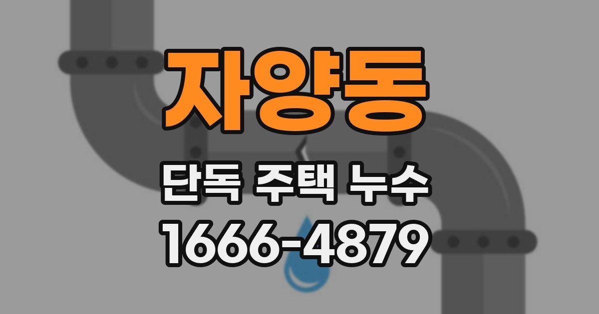 자양동 단독 주택 누수