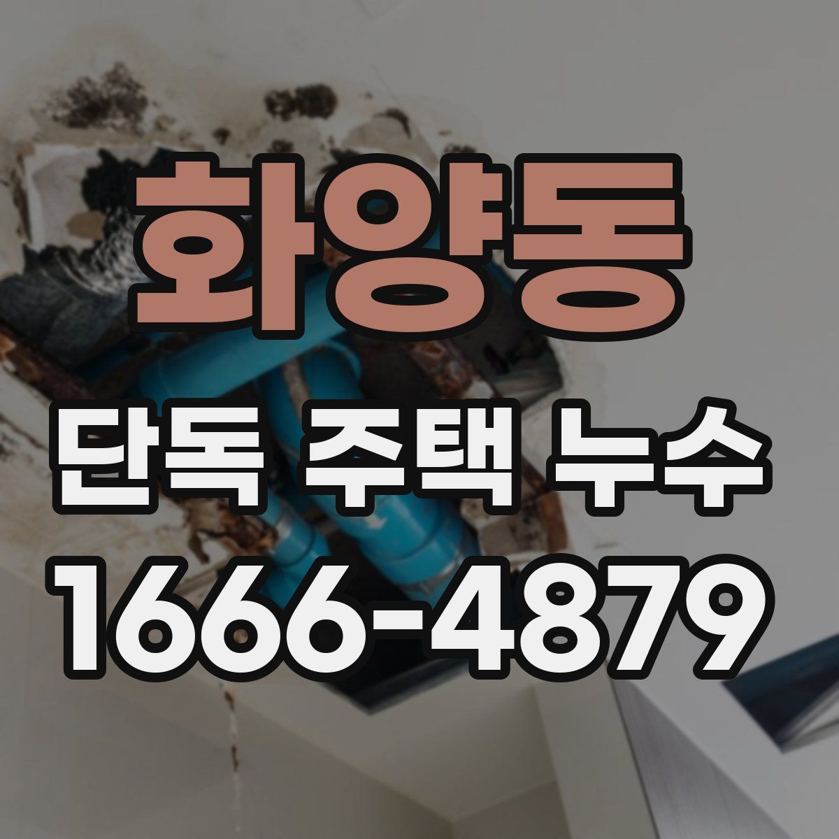 화양동 단독 주택 누수