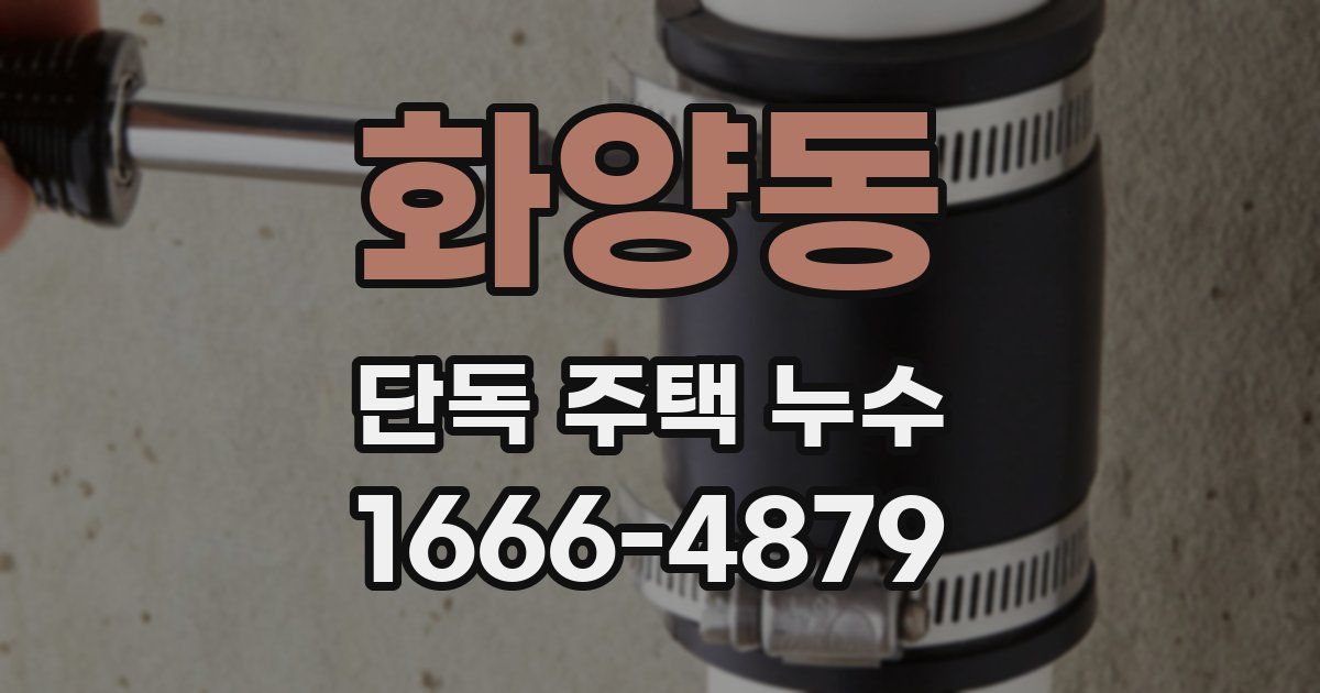 화양동 단독 주택 누수