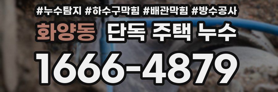 화양동 단독 주택 누수