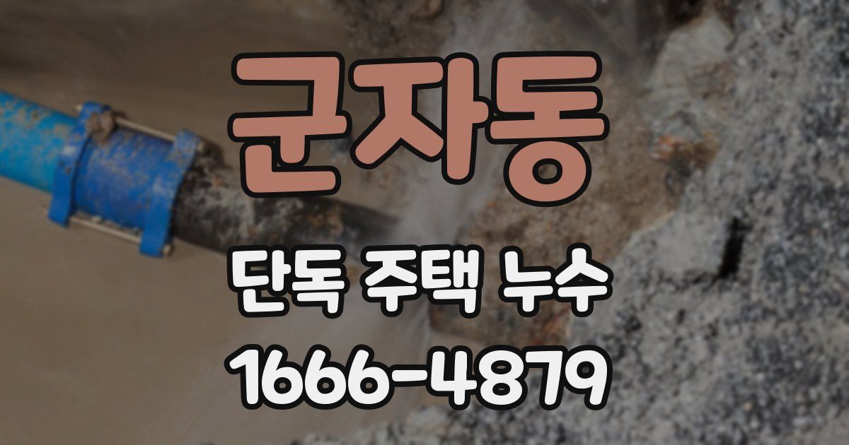 군자동 단독 주택 누수