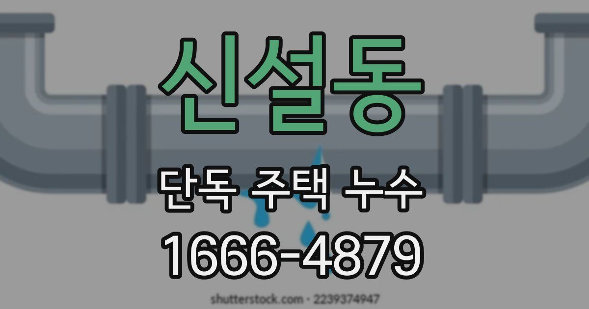 신설동 단독 주택 누수