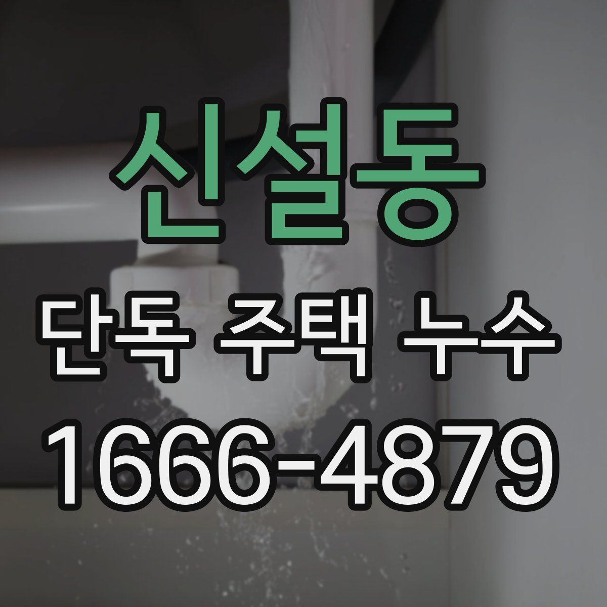 신설동 단독 주택 누수