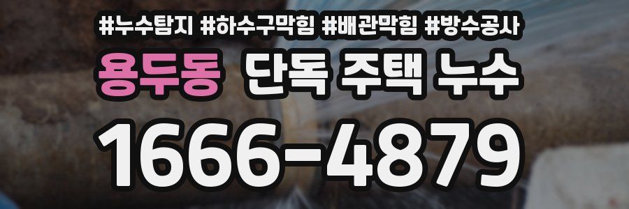 용두동 단독 주택 누수