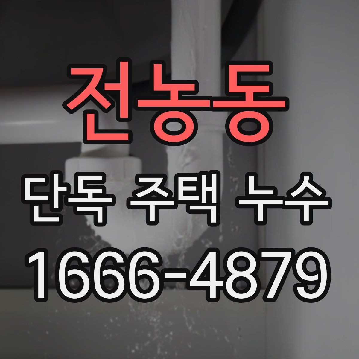 전농동 단독 주택 누수 실내 마감재 손상 범위 살펴보기
