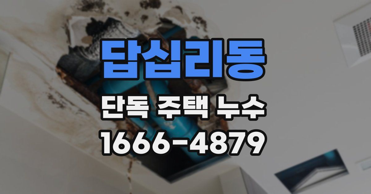 답십리동 단독 주택 누수