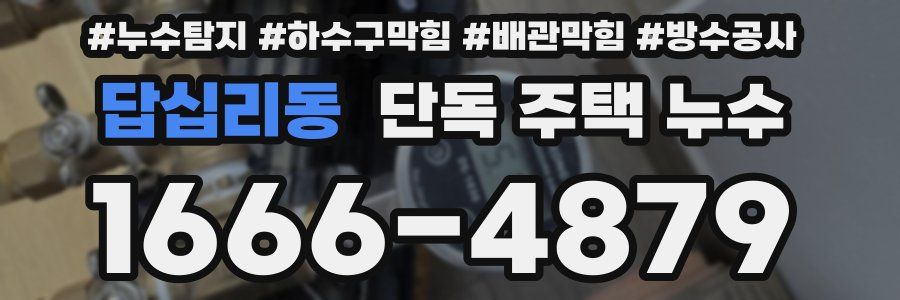답십리동 단독 주택 누수
