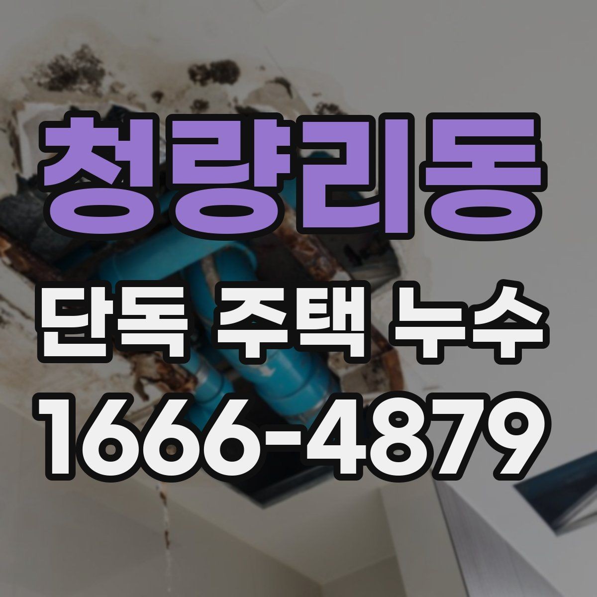 청량리동 단독 주택 누수 배관 점검이 필요한 대표 상황