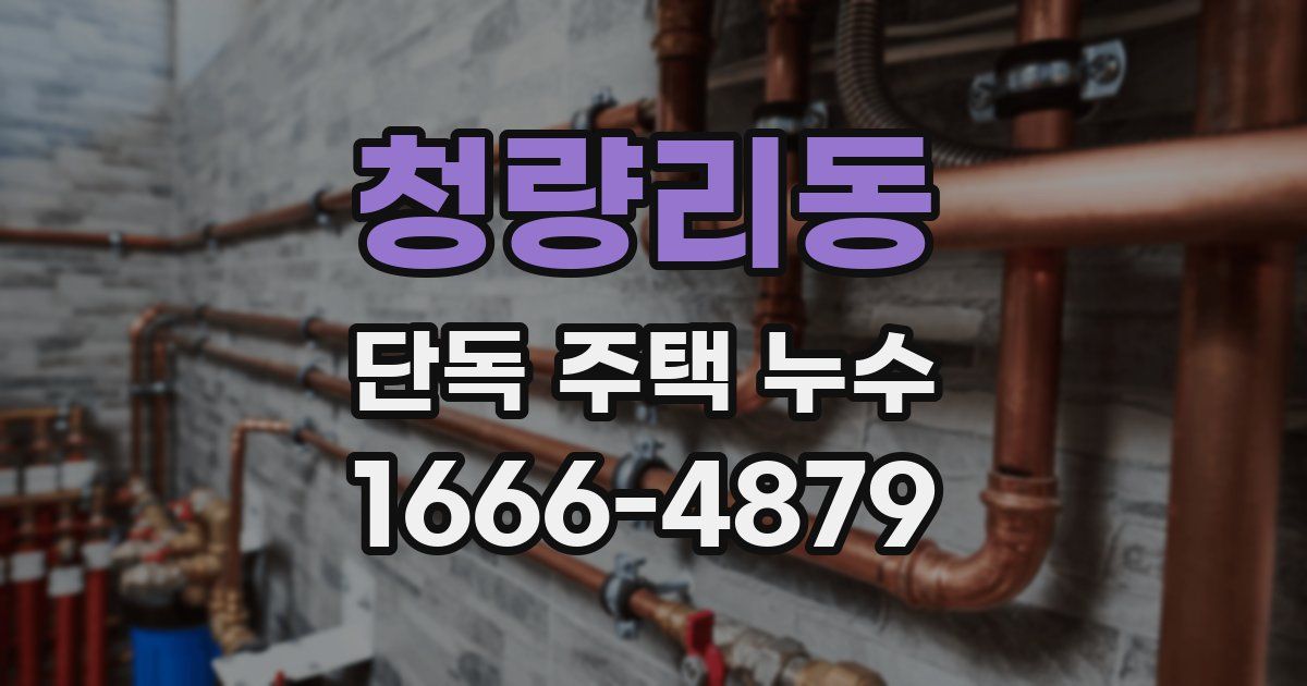 청량리동 단독 주택 누수