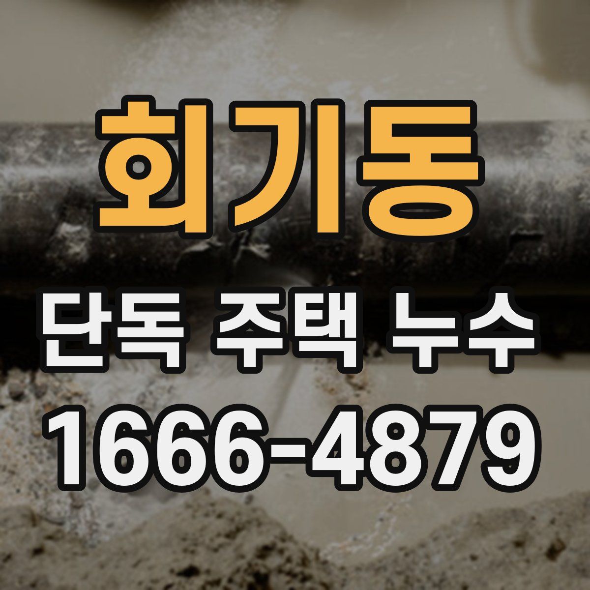 회기동 단독 주택 누수
