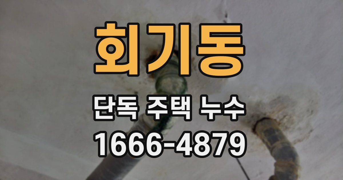 회기동 단독 주택 누수