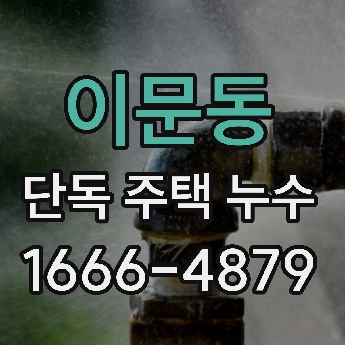 이문동 단독 주택 누수 간단 점검으로 확인하는 방법