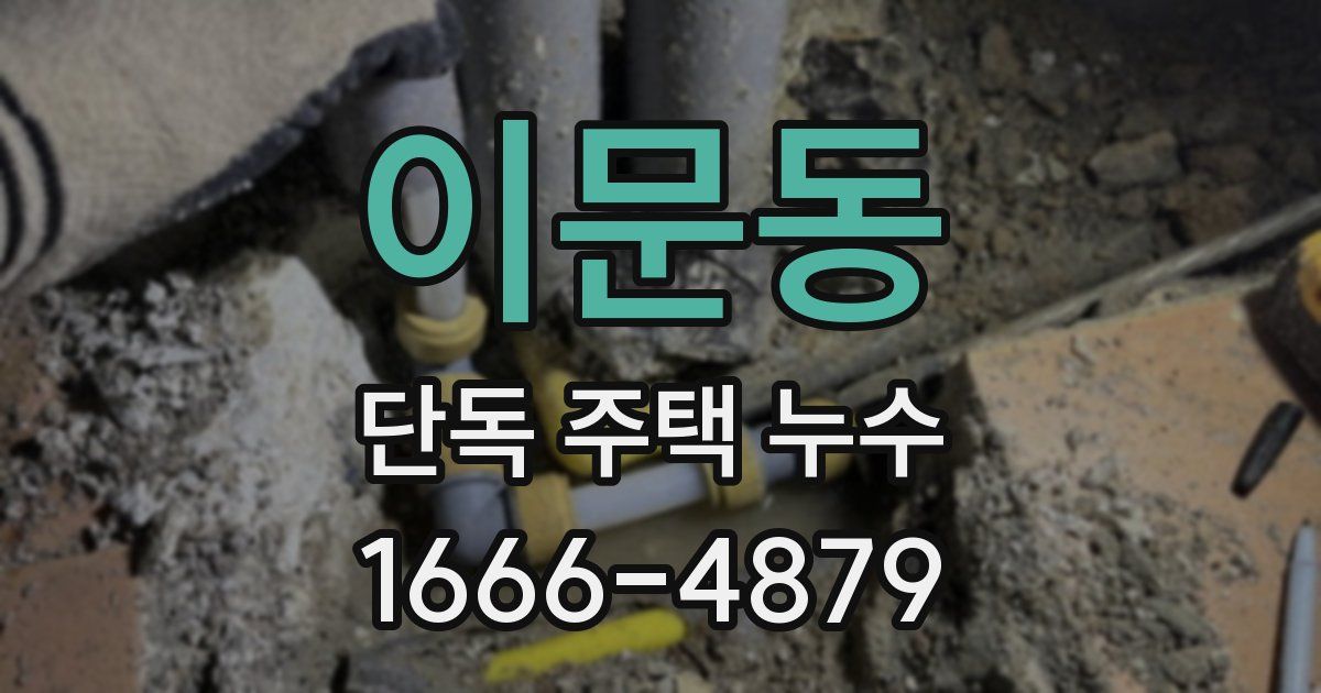 이문동 단독 주택 누수