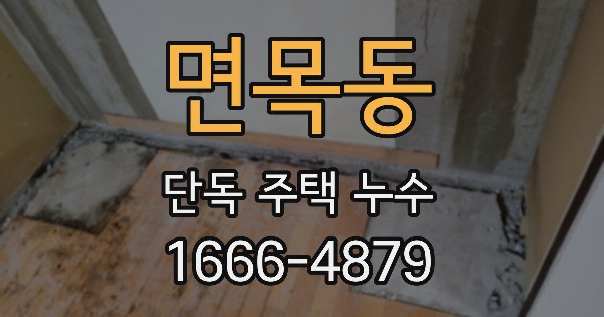 면목동 단독 주택 누수
