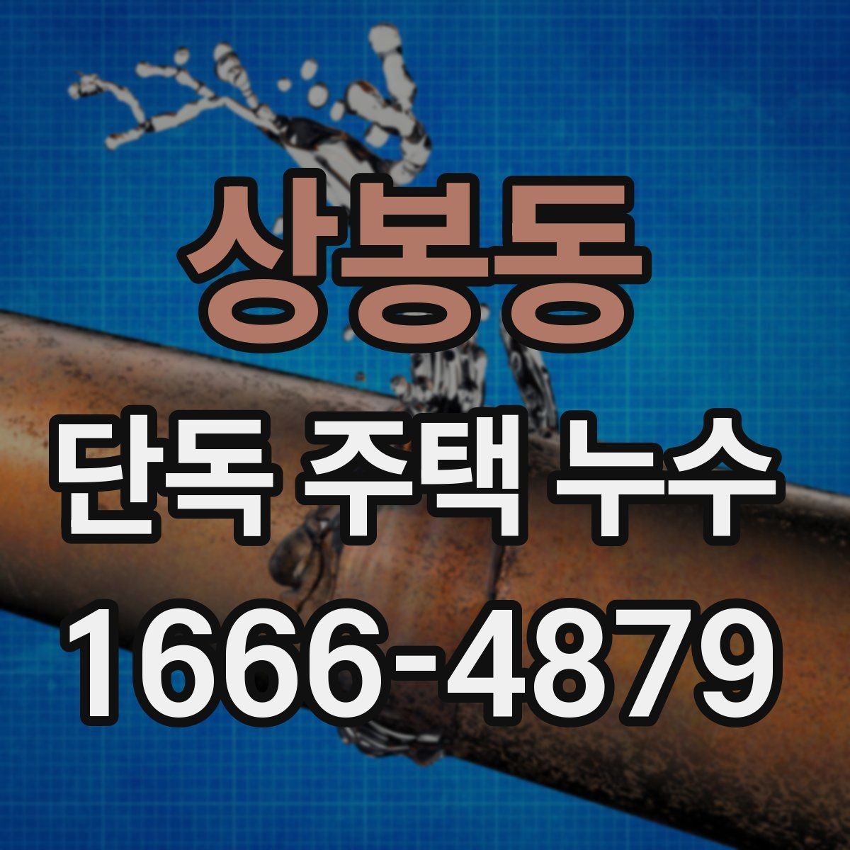 상봉동 단독 주택 누수 의심 구간별 점검 방법