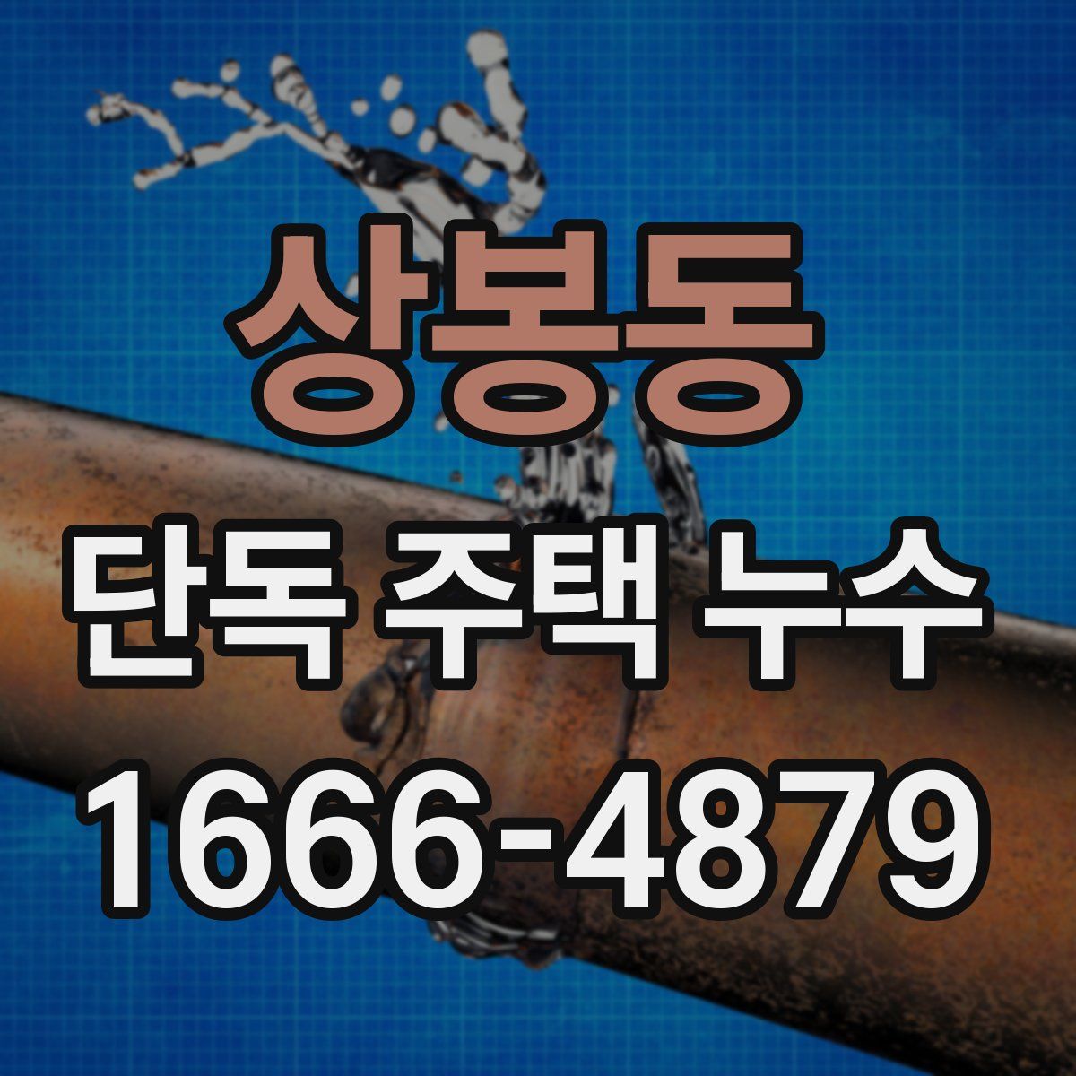 상봉동 단독 주택 누수