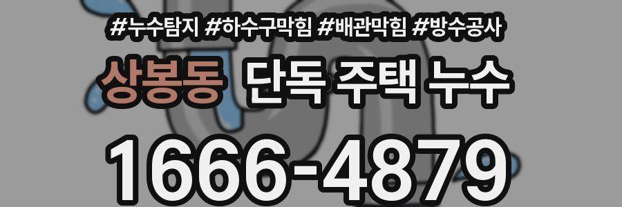 상봉동 단독 주택 누수