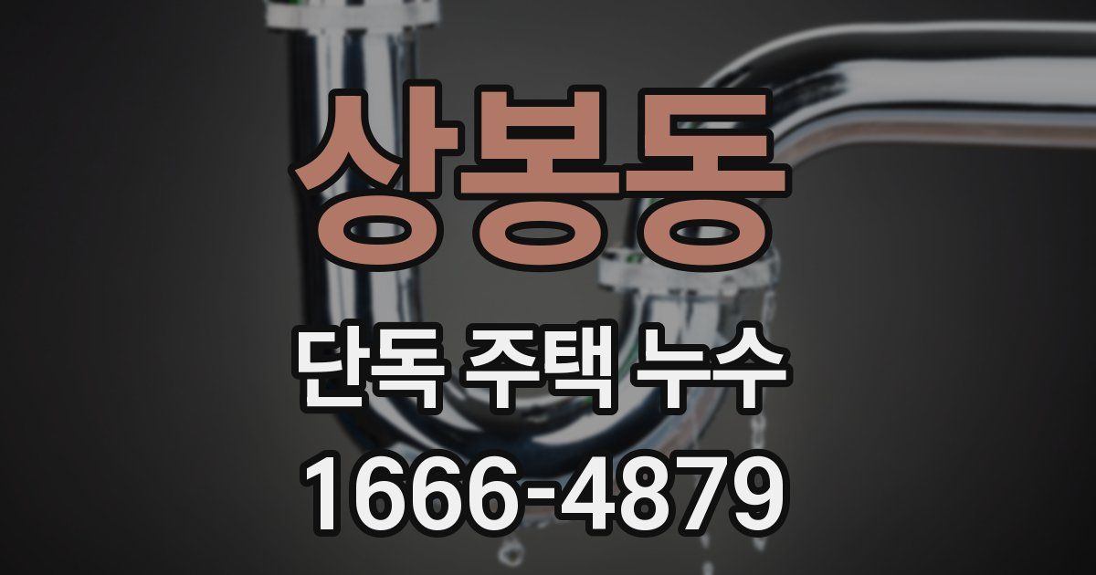 상봉동 단독 주택 누수