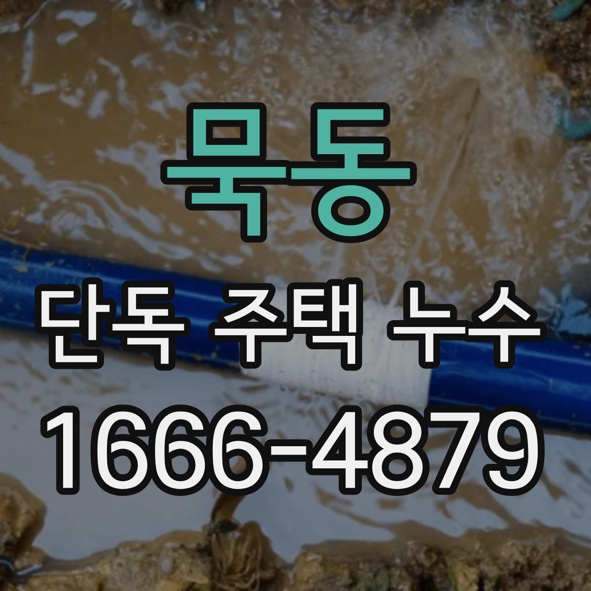 묵동 단독 주택 누수 천장 얼룩이 생겼을 때 대응