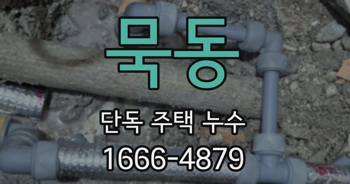 묵동 단독 주택 누수