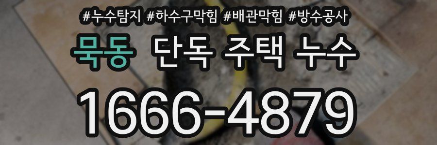 묵동 단독 주택 누수